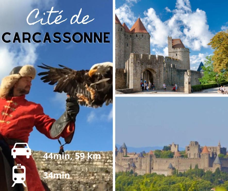 La Cabane Bleue, T1 A Narbonne Kültér fotó